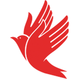 Quick Couriers & Logistics