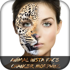 Animal Insta Face Changer Morp icône