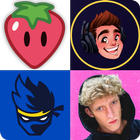 Guess The Streamer icon