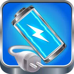 Fast Charger, Battery Charger