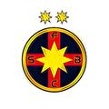FCSB - Gaseste Fotbalistul