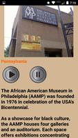 Black History Museums Affiche