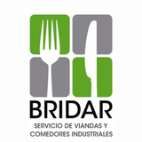 Bridar 图标