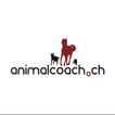 Dog School Animalcoach.ch ZH иконка