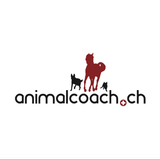 Dog School Animalcoach.ch ZH icône