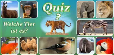 Quiz Animales