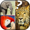 Il quiz degli animali