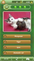 Quiz Me - What Animal Am I? ภาพหน้าจอ 2