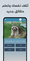 سؤال وجواب الملصق