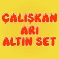 Çalışkan Arı Altın Set