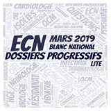 DCP 2019 Lite أيقونة