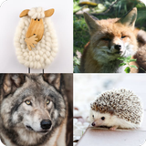 Guess The Animal icône