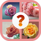 Flower Quiz - Botany Quiz For Adults And Kids icône