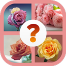Flower Quiz - Botany Quiz For Adults And Kids APK