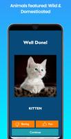 QUIZINATOR GW ANIMALS Screenshot 2