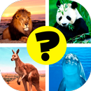 Animals: quiz. Mammals, Birds and Fish APK