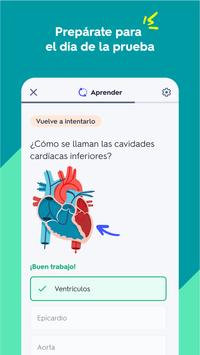 Quizlet captura de pantalla 2