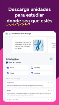 Quizlet captura de pantalla 8