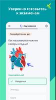 Quizlet скриншот 2