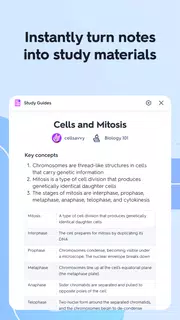 Quizlet: More than Flashcards