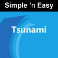 Tsunami