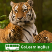 ”Learn Zoology by GoLearningBus