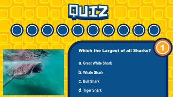 Quiz Seas постер