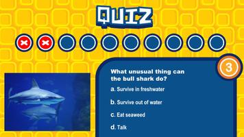 Quiz Seas скриншот 1