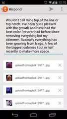 download Tapatalk Pro APK