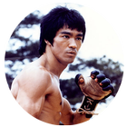 Bruce Lee Quotes icône