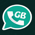 GB Version Pro