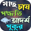 APK লাভজনক পদ্ধতিতে মাছ চাষ পদ্ধতি