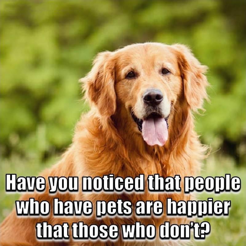 Animal Lover APK for Android Download Animal Lover APK for Android Download