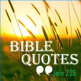 Bible Status Quotes icon