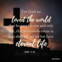 Daily Bible Verses imagem de tela 3