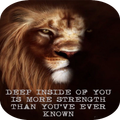 Quotes and Status