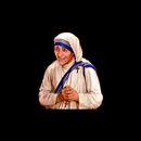 Mother Teresa Quotes ✝️-APK