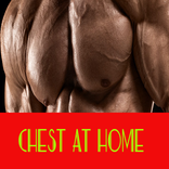 chest at home _ no equipment in 30 day