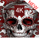 Skull Wallpaper _خلفيات الجمجمة