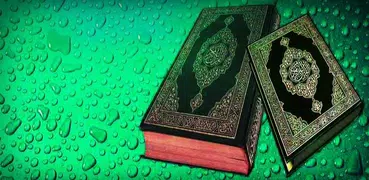 Oromo Quran