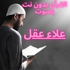 القرآن بدون نت بصوت علاء عقل APK