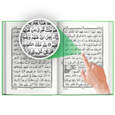 Quran 13 lines Read Holy Quran APK