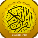 Mafatih al-Jinan - مفاتيح الجنان APK