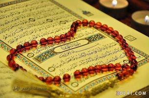 quran karim flash القران الكريم فلاش تصوير الشاشة 2