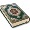 Holy Quran Read Offline ไอคอน