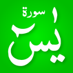 Surah Yaseen: Yasin Sharif MP3