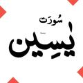 Surah Yaseen  + Audio Offline