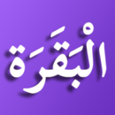 Surah Al-Baqarah APK