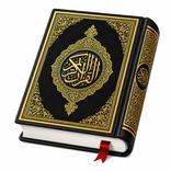 Al QURAN - القرآن الكريم