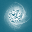 تفسير كلمات القرآن الكريم ícone